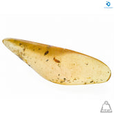 Natural Amber with Insects